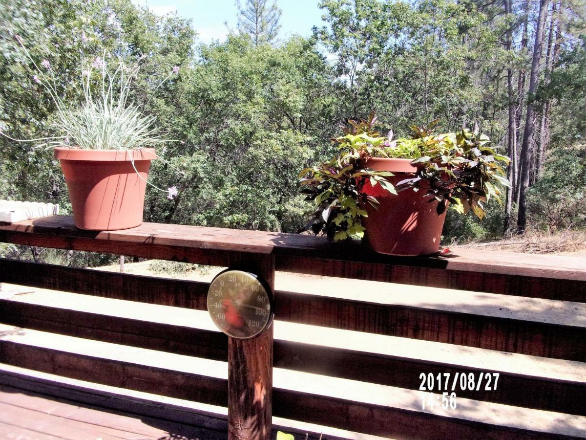 The Cub Inn B&B Groveland Luaran gambar